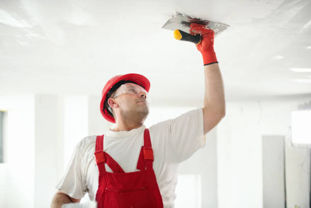 Mold Remediation for Rental Properties in Lido Beach, NY