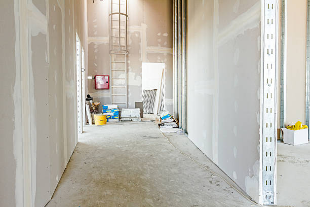 Best Real Estate Mold Inspection  in Lido Beach, NY
